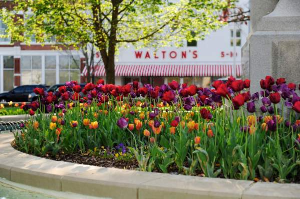 Downtown Square - Walton's 5&10