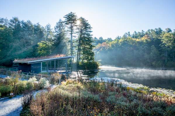 The pond at the Highlands Botanical Gardens.