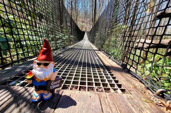 Aerial Park Bridge Trail
