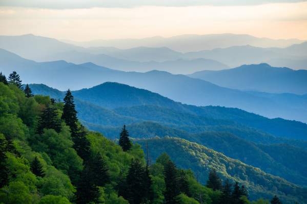 Cooler by Nature: How to Beat the Heat in Jackson County This Summer
