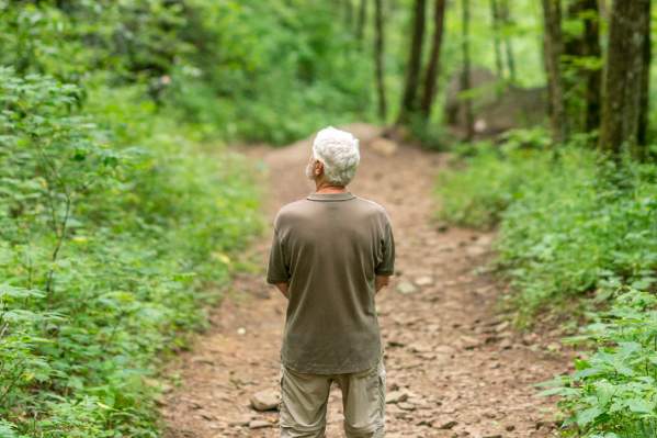 A Local’s Guide to Forest Bathing in Jackson County, NC