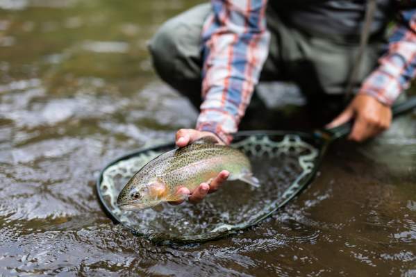 Fishing in Jackson County
