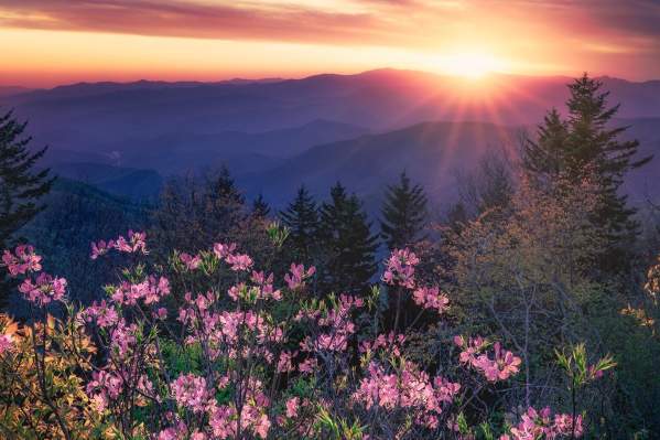 Spring Adventures in Jackson County for Less