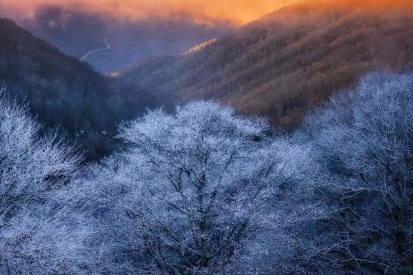 Our 'Secret Season' Is Whispering to You