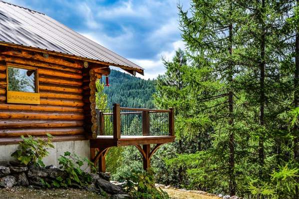 cabin amongst trees