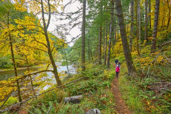 Fall Foliage Road Trips