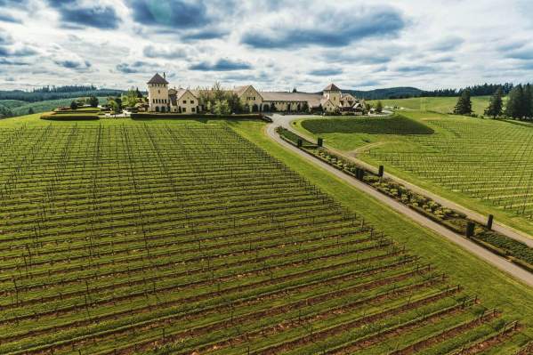 Oregon's Wine Story