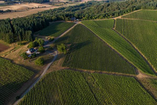 Road Trip: Willamette Valley