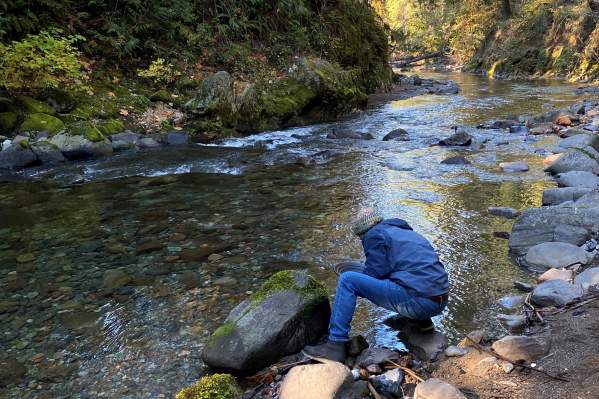 Gold panning at Brice Creek