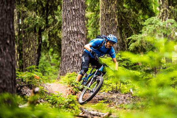 Mountain Biking Alpine Trail by Anthony Smith