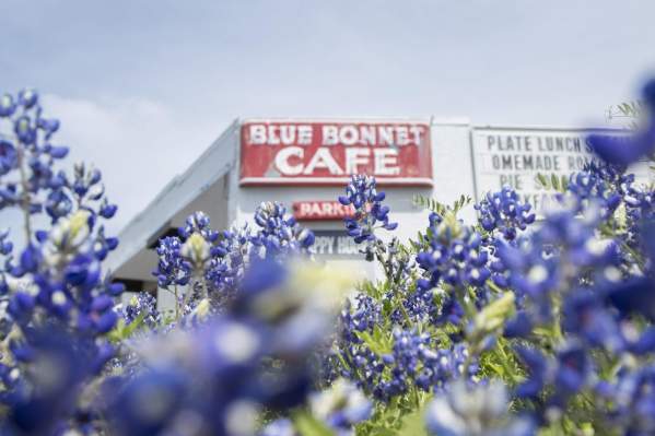 Blue Bonnet Cafe and flowers