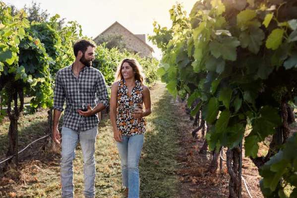 couple walking through vineyard