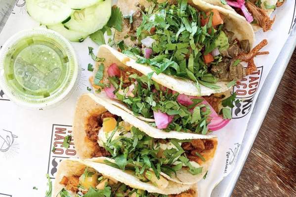Mexican street tacos are lined up on a tray, topped with a generous pinch of cilantro.