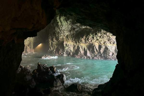 Sea Lion Caves