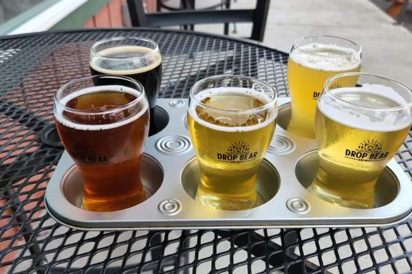 Drop Bear Brewery