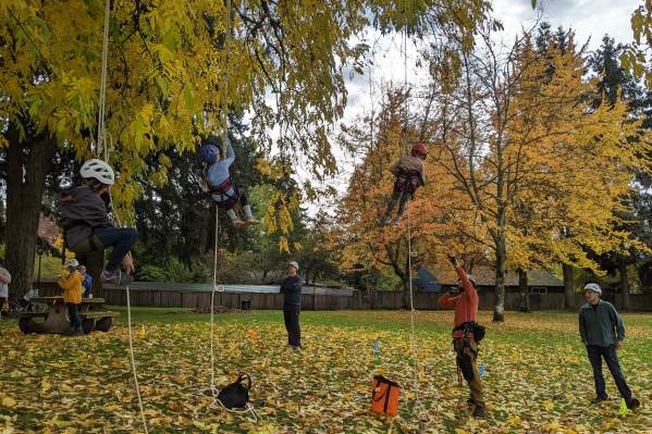 Tree Climbing Eugene