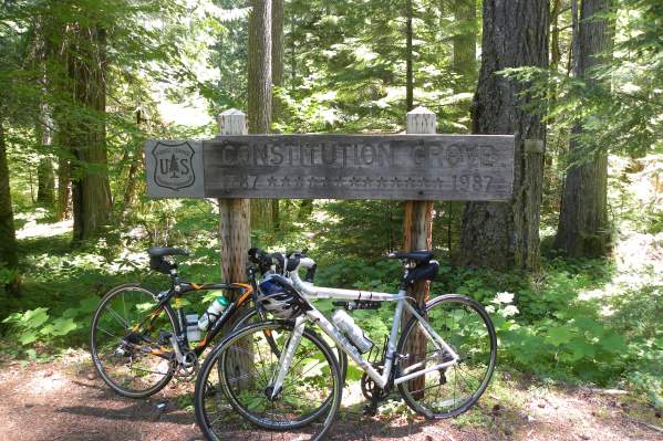 Constitution Grove Trail #3675