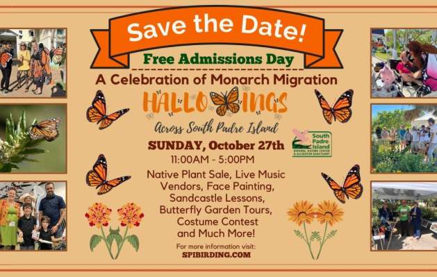 Hallowings Graphic Press Release