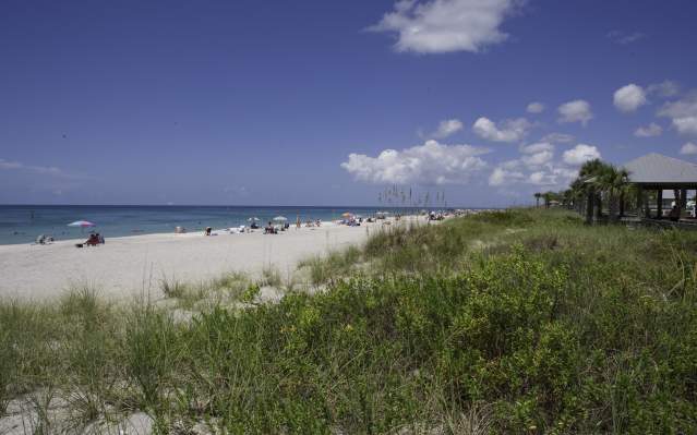 Clear Blue Sky and Blue Water at Stump Pass Beach State Park, beach grasses and people near the water