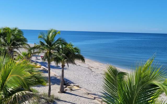 The View from WannaB Inn of beach, palm trees, and the waters of the Gulf of Mexico