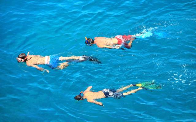 Snorkelers in blue water in Punta Gorda/Englewood Beach