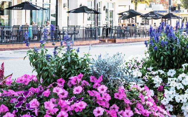 Flower Pots in Downtown Punta Gorda