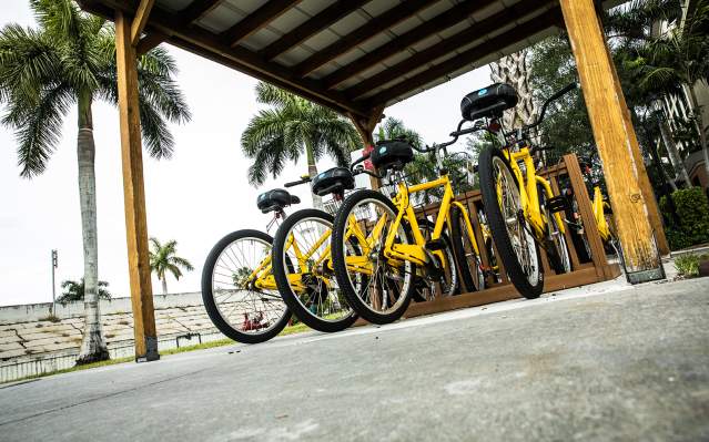 Free yellow loaner bikes in Punta Gorda, Florida
