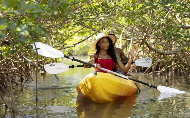 Kayaking Mangrove Tunnels in Bill Coy Preserve