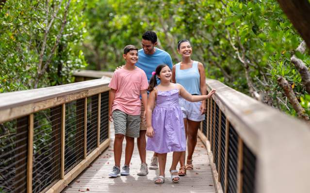 Family Nature Walk at Ponce de Leon Park