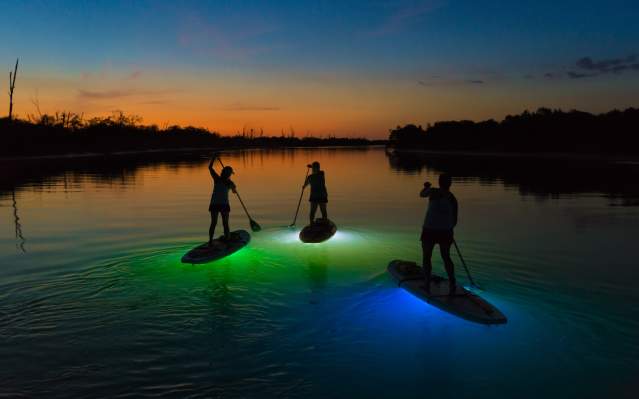 LED Lit Nighttime Stand Up Paddleboarding