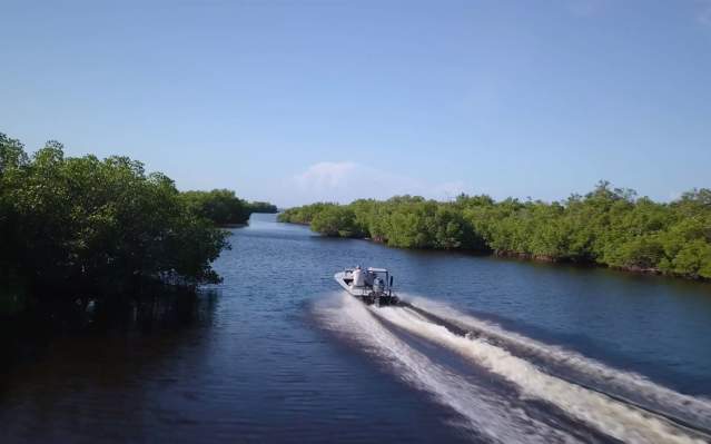 Boat leaving a wake in a Punta Gorda/Englewood Beach waterway