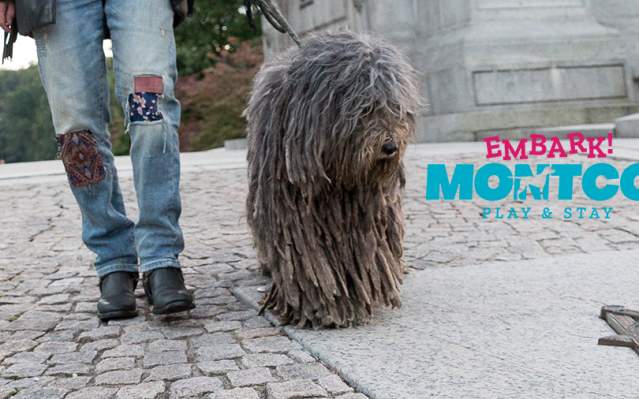 embark montco