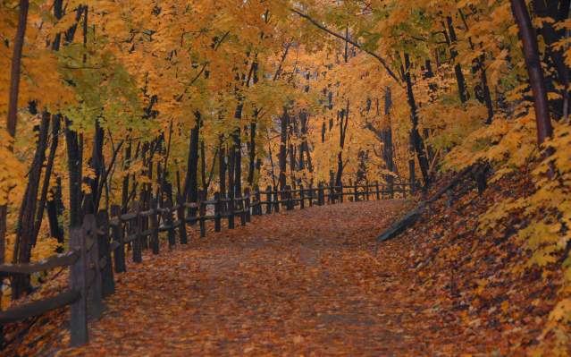 Perkiomen Trail in Fall