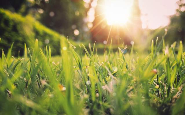 Spring