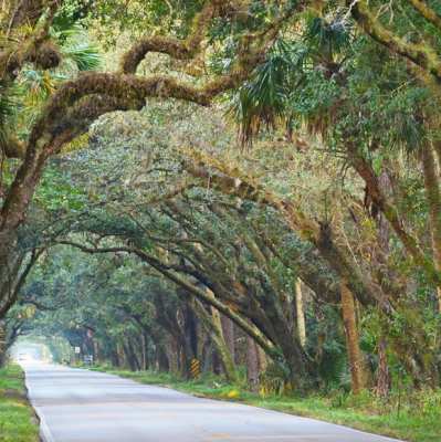 Florida Scenic Highway: The Martin Grade, Sunrise to Sunset