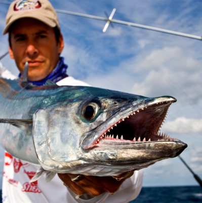 An Angler's Guide to Kingfishing in Florida