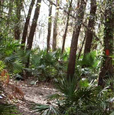 1333574447_blanchard0054_marked_trail.jpg.1200.630.rendition
