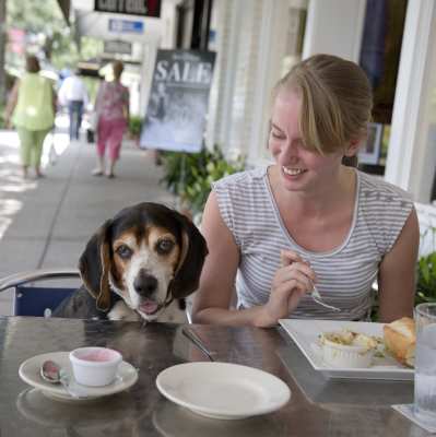 Dog Friendly Restaurants in Safety Harbor, FL - BringFido