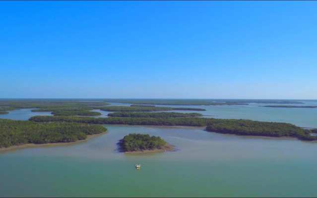 Local Attractions  Exploring Naples, 10,000 Islands and Everglades