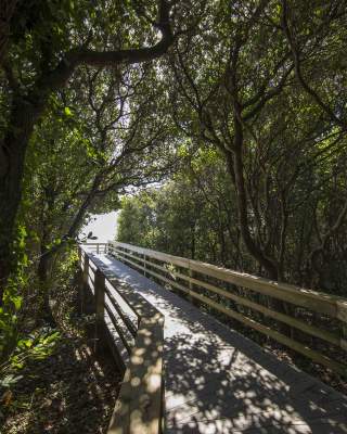 Pine Knoll Shores Beach Access