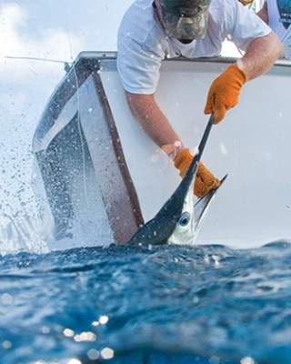 North Carolina Governor S Cup Saltwater Fishing Tournament Crystal Coast Nc