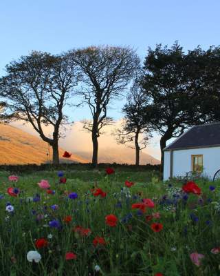 Accommodation in County Down Hotel