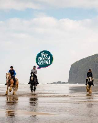 Pledge Friends Beach Horses