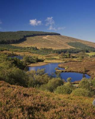 couple enjoying the view of Gortin Lake