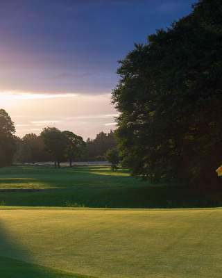 Sun shining through a tree over a green at the Galgorm Castle Golf Club