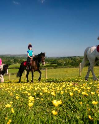 family horse riding with Slow Adventure NI over a field of buttercups