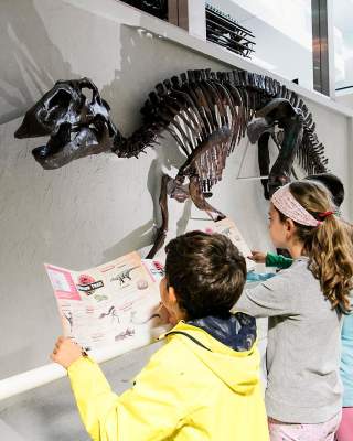 Visitors enjoying the Edmontosaurus dinosaur; the only real near complete dinosaur skeleton display at the Ulster Museum, Belfast.