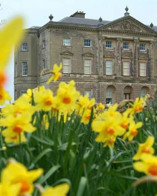 Castle Ward in Spring with daffodils in the foreground.