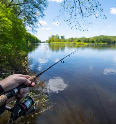 A fishing pole along a lake