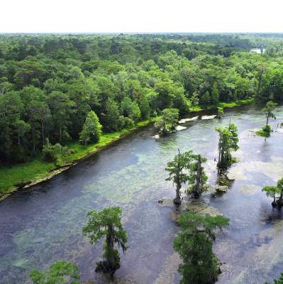 Florida Day Trips Ideas To Make The Most Of A Day In Florida Florida Day Trips Ideas To Make The Most Of A Day In Florida